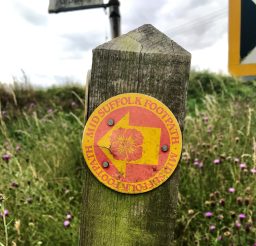 a red and yellow Mid Suffolk Footpath waymarker disc on an old wooden post in amongst grass and thistles